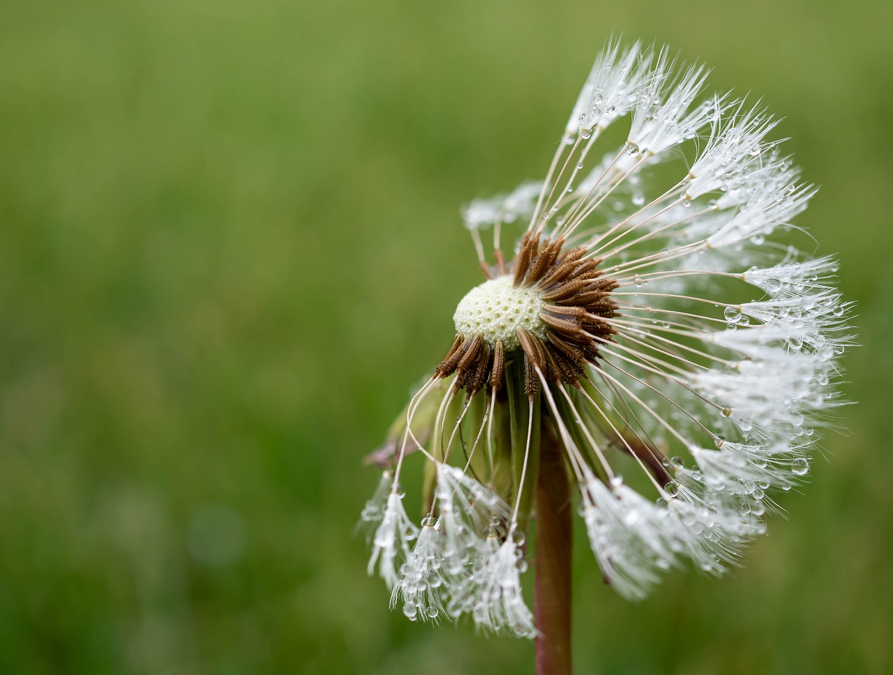 The Philosophy of Happiness - An Intriguing Study